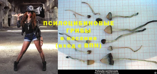 mdma Михайлов