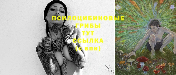 мяу мяу мука Михайловск