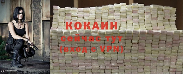 мяу мяу мука Михайловск
