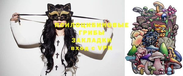 мяу мяу мука Михайловск