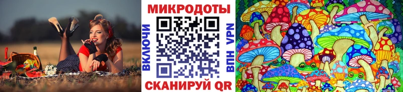 Псилоцибиновые грибы Magic Shrooms  купить наркотик  Томилино 